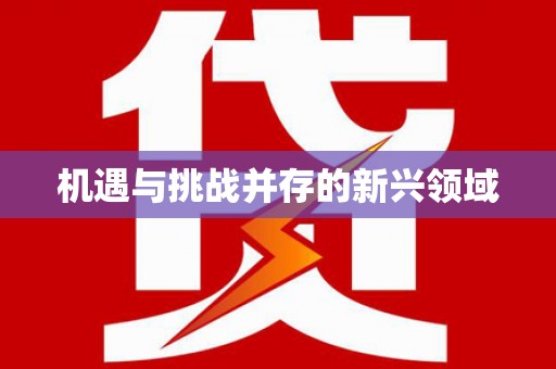 靖州机遇与挑战并存的新兴领域