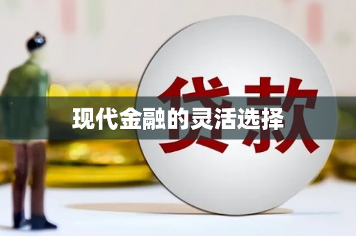 靖州现代金融的灵活选择