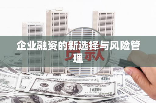 靖州企业融资的新选择与风险管理