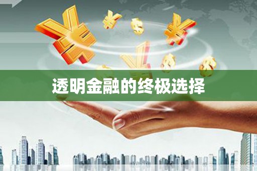 靖州透明金融的终极选择