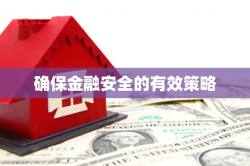 靖州确保金融安全的有效策略
