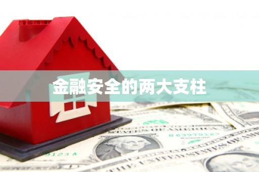靖州金融安全的两大支柱