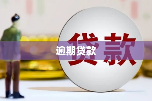 靖州逾期贷款