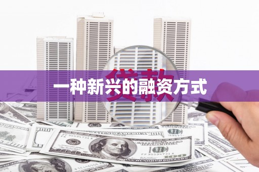 靖州一种新兴的融资方式