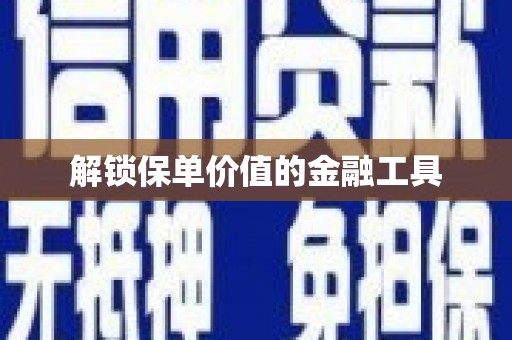 靖州解锁保单价值的金融工具