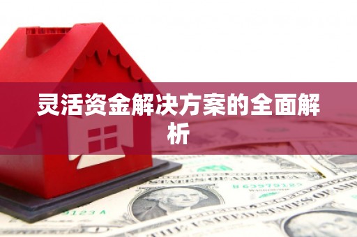 靖州灵活资金解决方案的全面解析