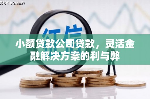 靖州小额贷款公司贷款，灵活金融解决方案的利与弊