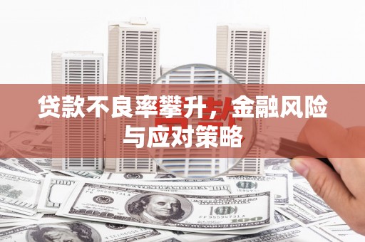 靖州贷款不良率攀升，金融风险与应对策略