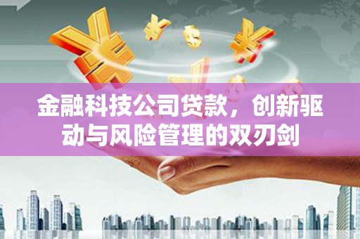 靖州金融科技公司贷款，创新驱动与风险管理的双刃剑