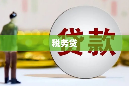 靖州税务贷